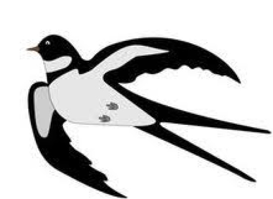 Το χελιδόνι γυρίζει στη φωλιά του